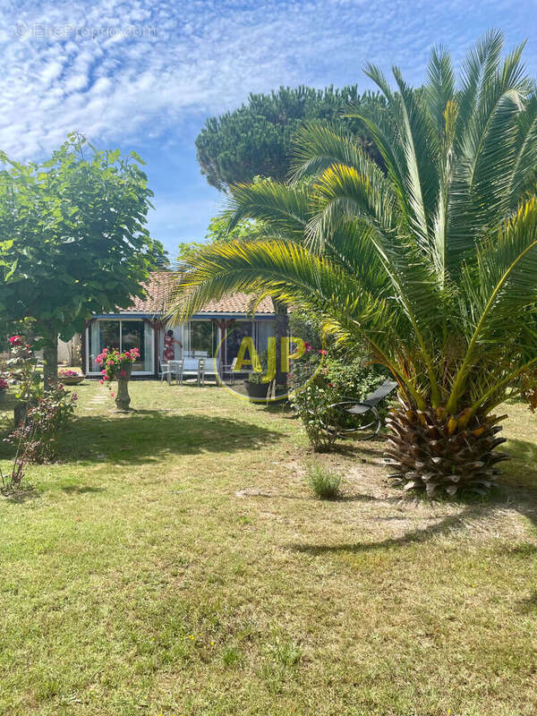 St vivien de medoc - deux maisons  -t7 - photo 2
