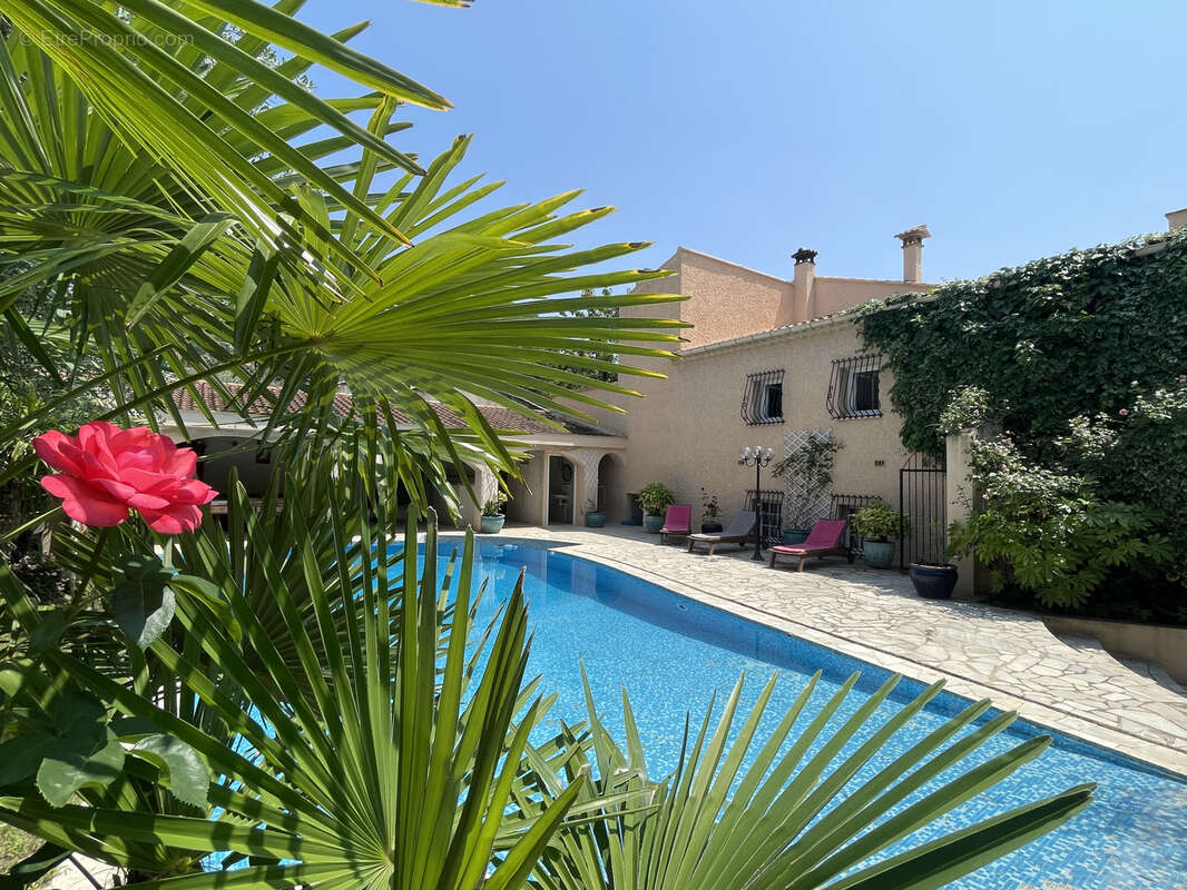 Vaison 2km / belle maison / sh240m2 / terrain 1396m2 / piscine / pool house 100m2 - photo 4