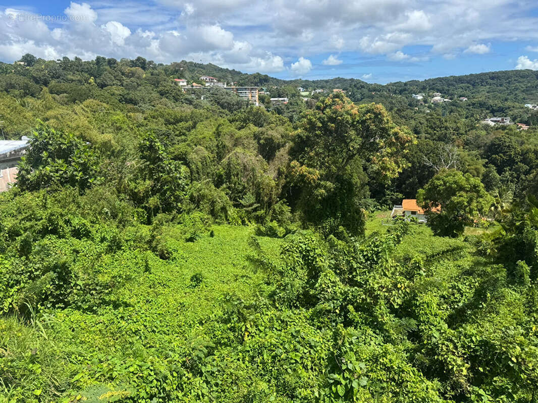 Terrain à FORT-DE-FRANCE