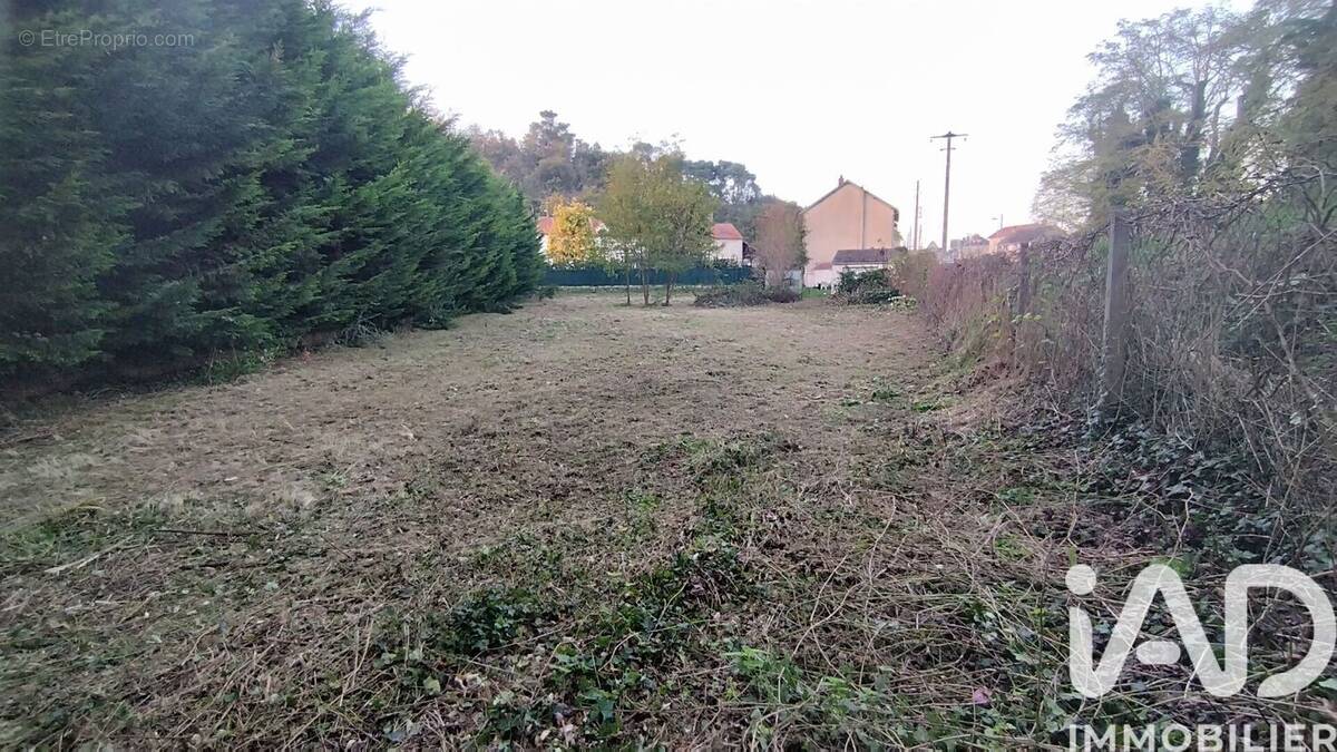 Photo 1 - Terrain à MAISSE