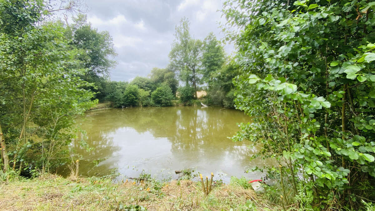 Maison à LA DOMINELAIS