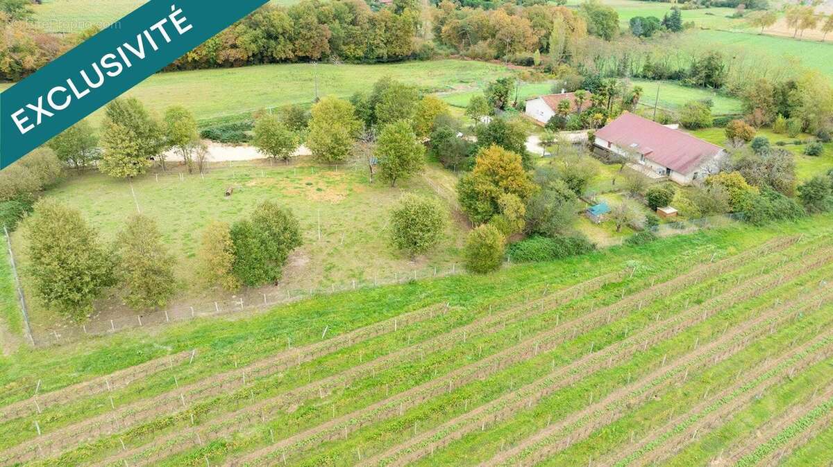 Photo 5 - Maison à EAUZE