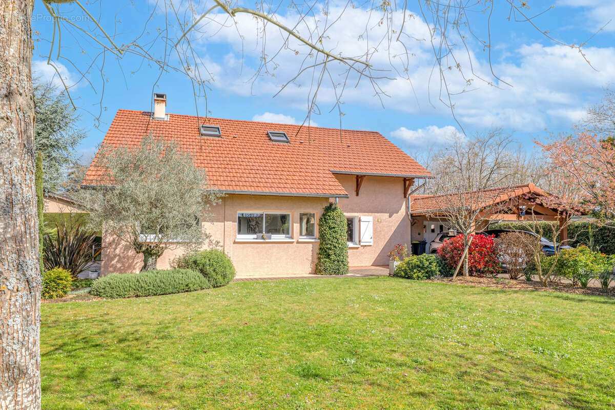 Maison à LA TOUR-DE-SALVAGNY