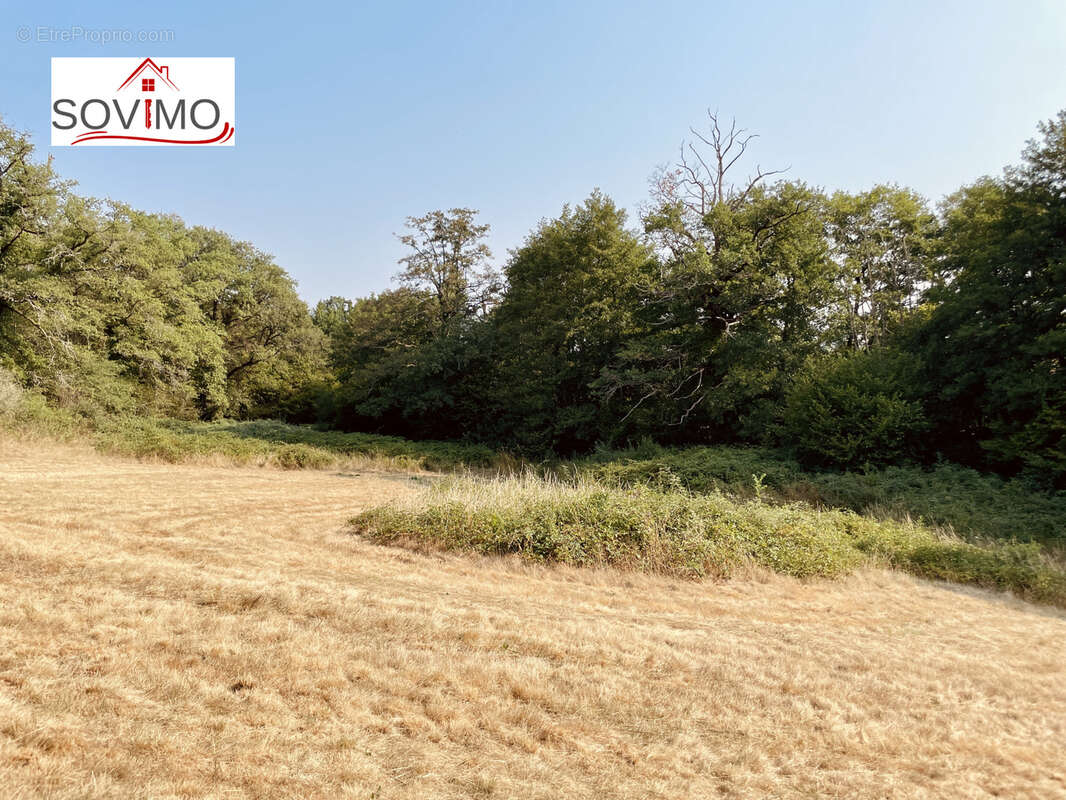 Laissez vous seduire par cette maison de campagne en pierre, nichée sur 3,41 ha en bord de rivière - photo 29