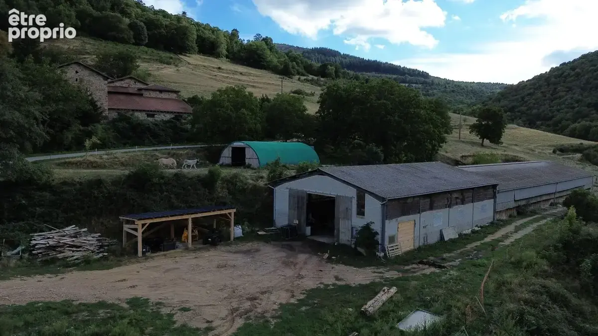 DJI_0418