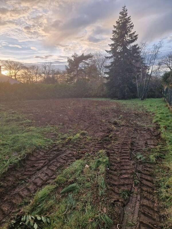 Terrain à NIORT