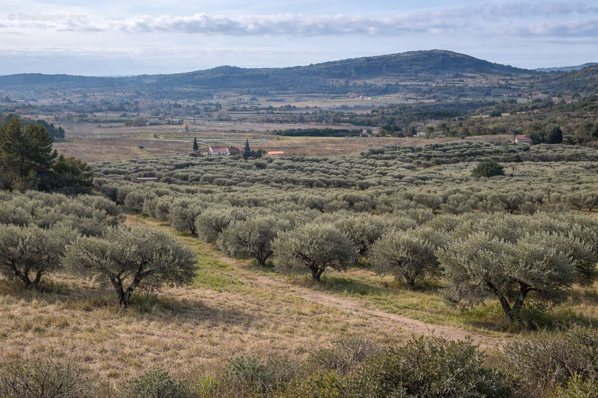 Terrain à LE CASTELLET