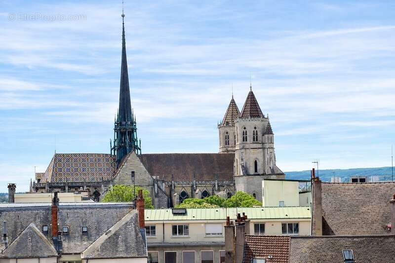 Coeur historique de Dijon- Grangier-Darcy  -Râre-Appartement grands volumes - libre - photo 15