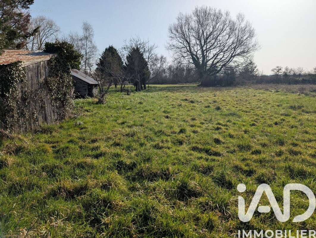 Photo 3 - Terrain à CHATEAUMEILLANT