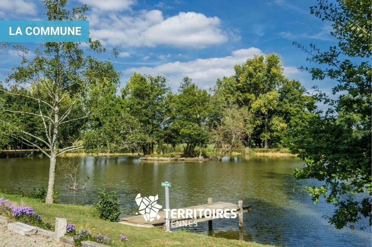 Terrain à LA CHAPELLE-THOUARAULT