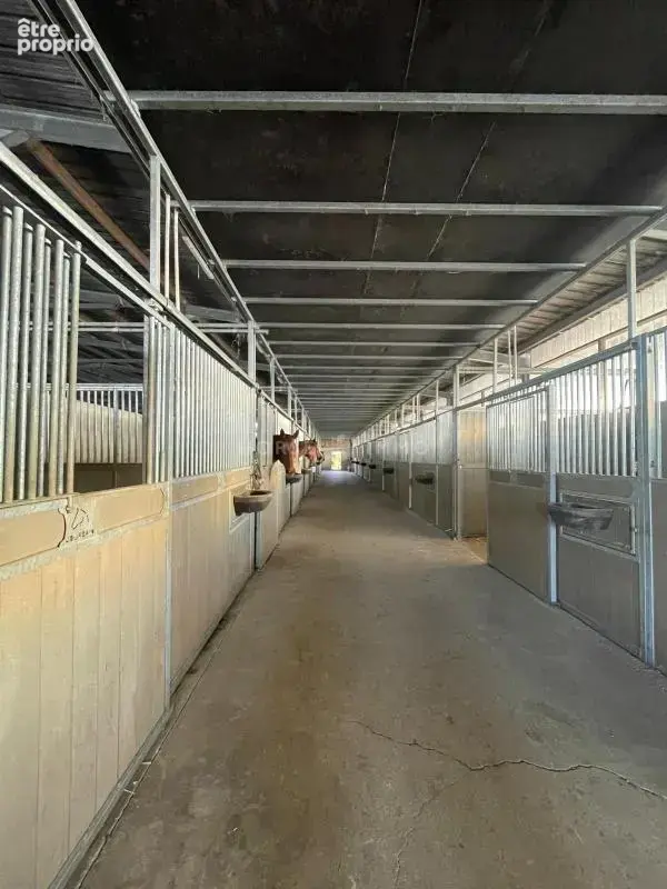 Haras de Reproduction Clé en Main sur 52 ha dans le Morbihan (5 - photo 16