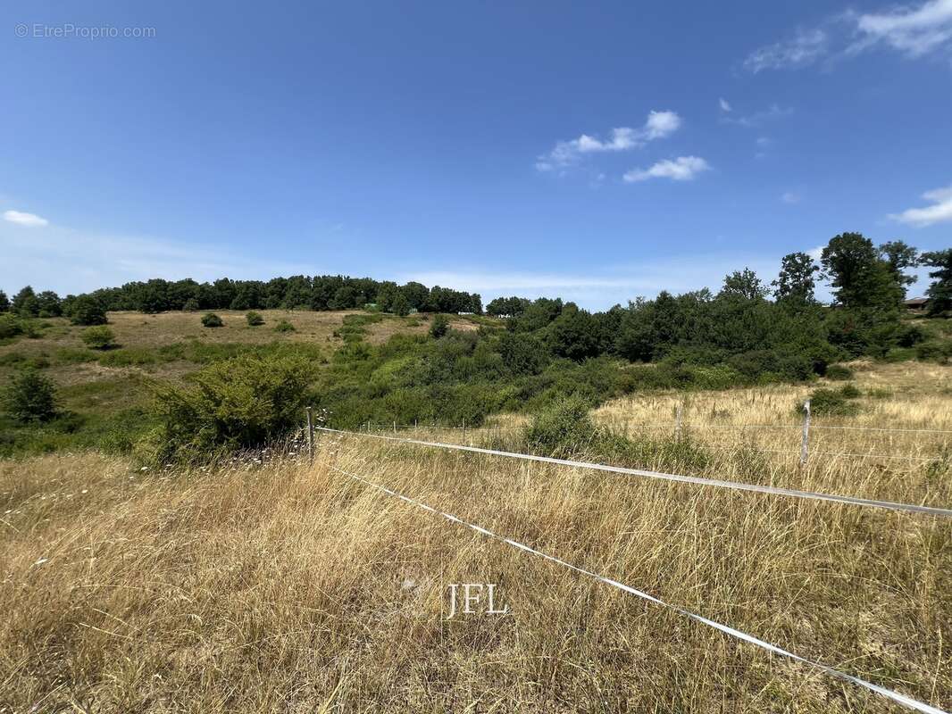 n°3 - Terrain à MOISSAC