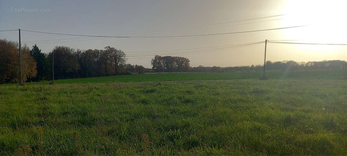 Terrain à CASTEIDE-DOAT