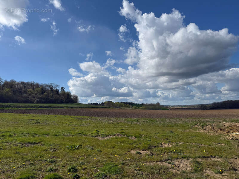 Terrain à GRISY-LES-PLATRES