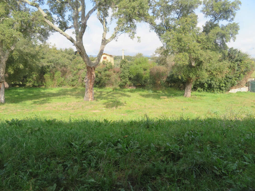 Maison à PORTO-VECCHIO