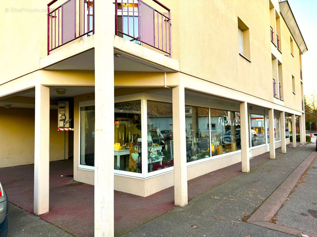 Commerce à BARTENHEIM