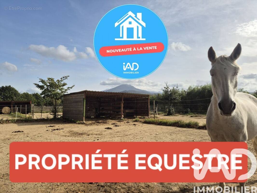 Photo 1 - Maison à SAINT-JEAN-PLA-DE-CORTS