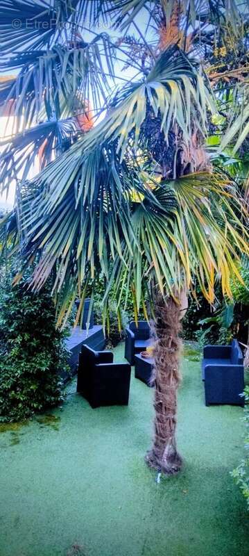 Maison à SALIES-DE-BEARN