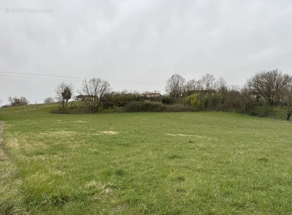 Terrain à AURIAC-SUR-VENDINELLE