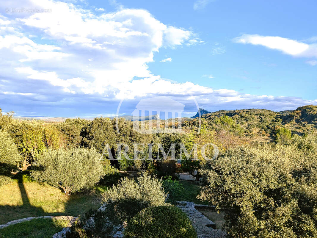 Maison à MONTPELLIER