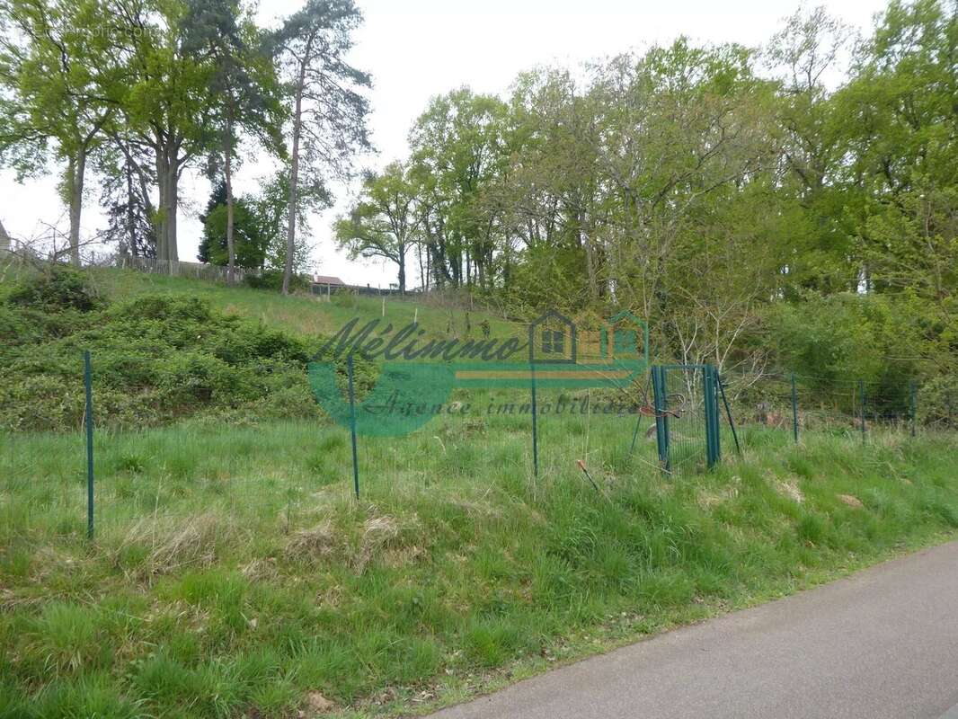 Terrain à SAINT-GEORGES-SUR-BAULCHE