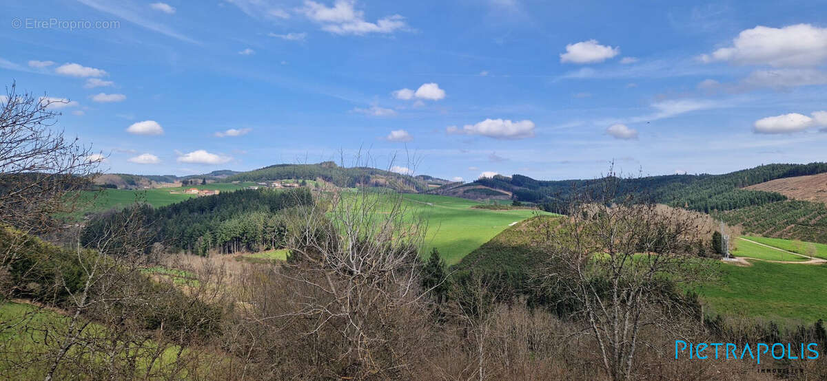 Maison 120 m² à Saint-Vincent-De-Reins  - photo 3