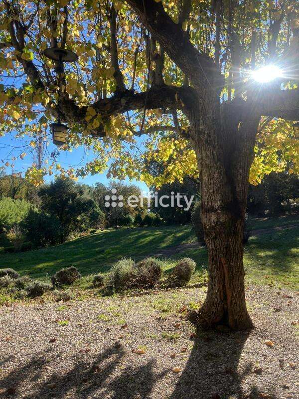 Maison à LA GARDE-FREINET