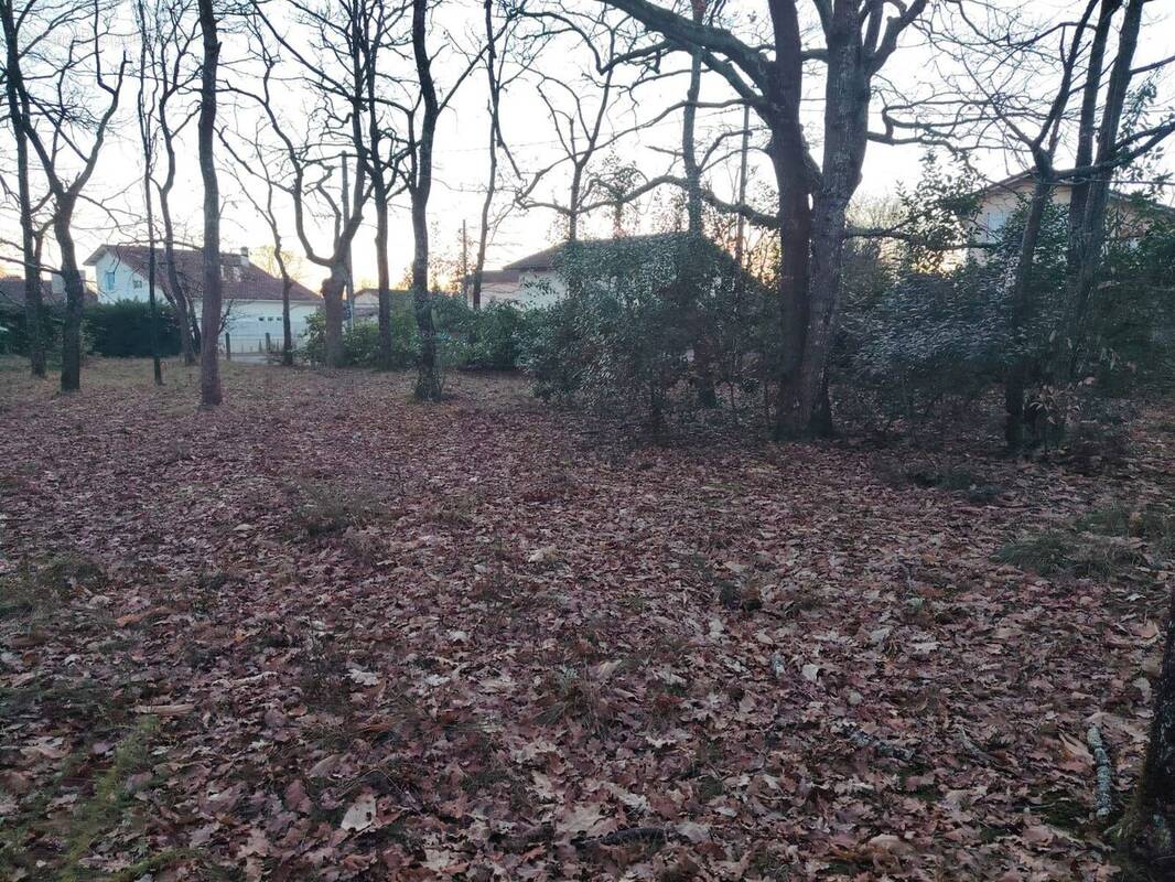 Terrain à MONT-DE-MARSAN