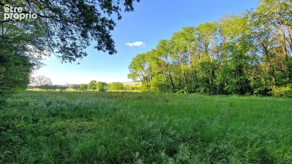 Grande Propriété Dans Son Parc Arboré à 45 Minutes De Tours - photo 9