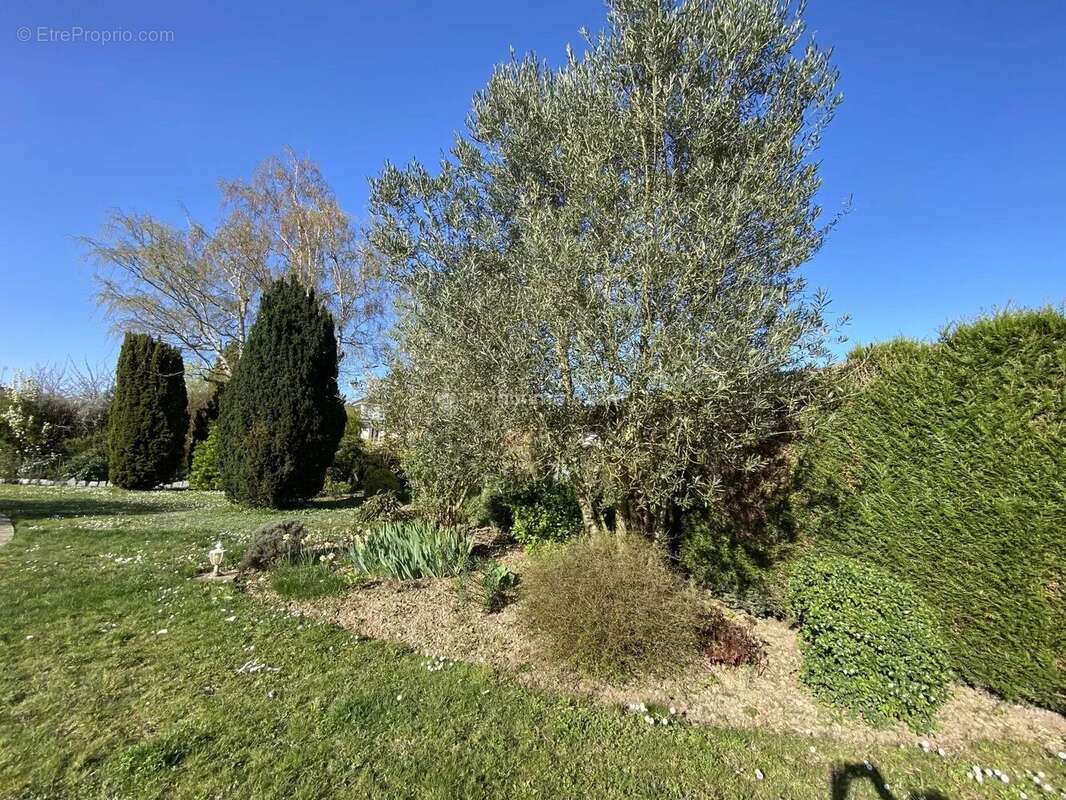 Maison à SAINT-AVERTIN