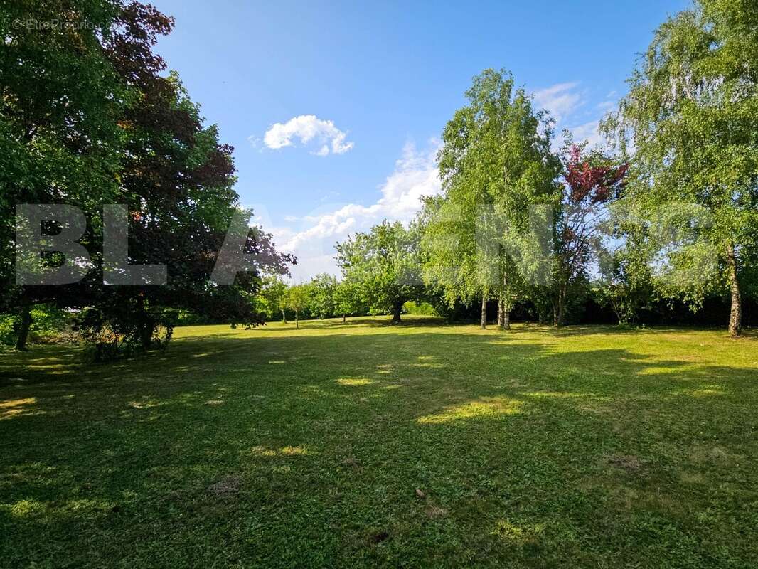 4 - Lionel MARC - BL Agents - Bret - Maison à CHOUPPES