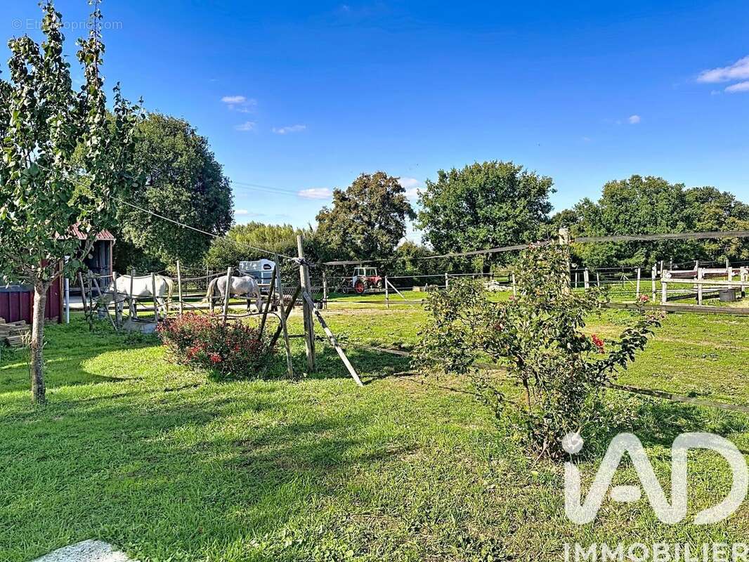 Maison 408 m² à La Foye-Monjault  - photo 8