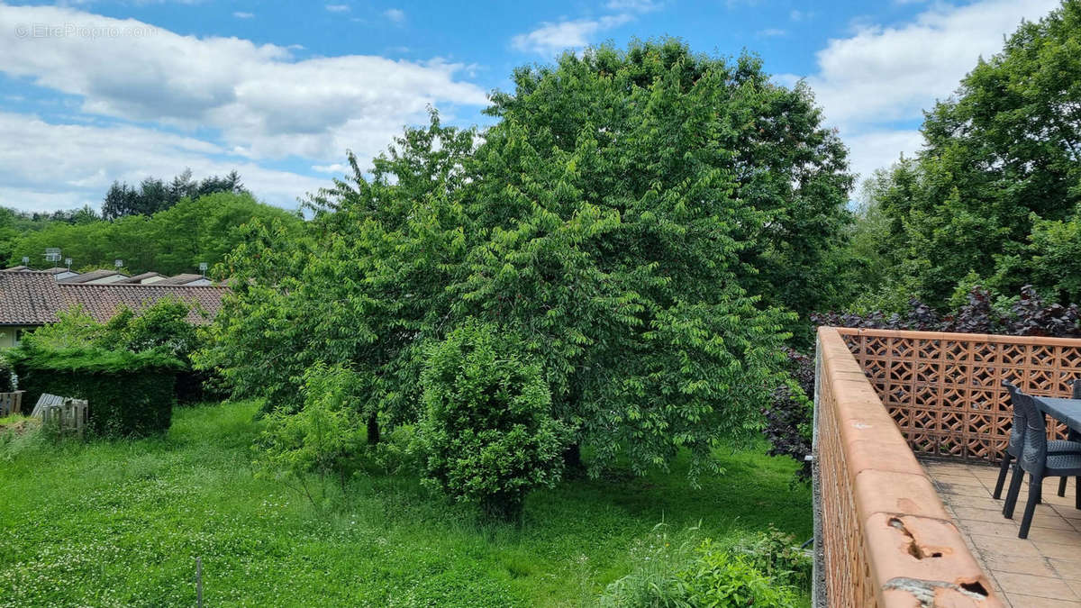 20240624_144103 - Maison à PIEGUT-PLUVIERS