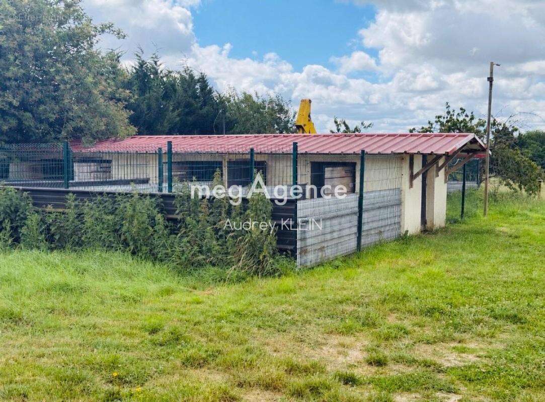 Belle propriété au calme avec terrain, piscine et box équestre - photo 19
