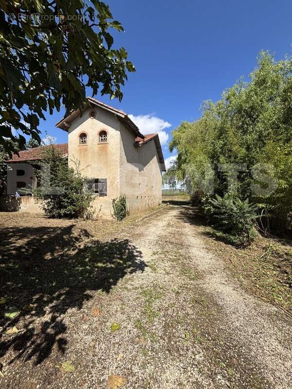 IMG_1144 - Maison à MONTAUBAN