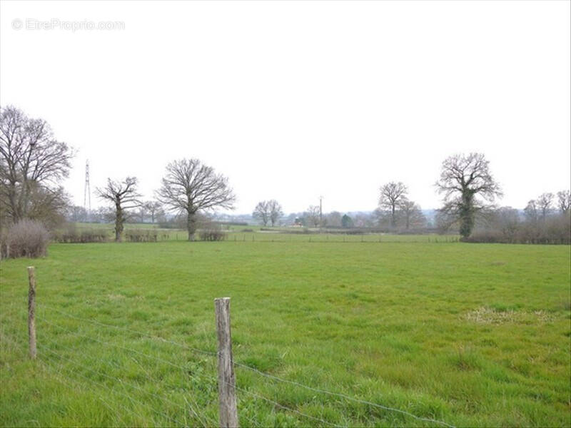 Terrain à BOURBON-L'ARCHAMBAULT