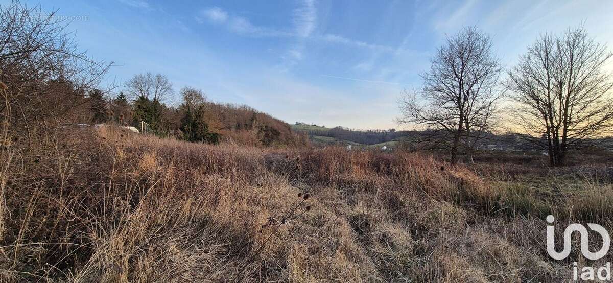 Photo 2 - Terrain à ROCHE-LA-MOLIERE