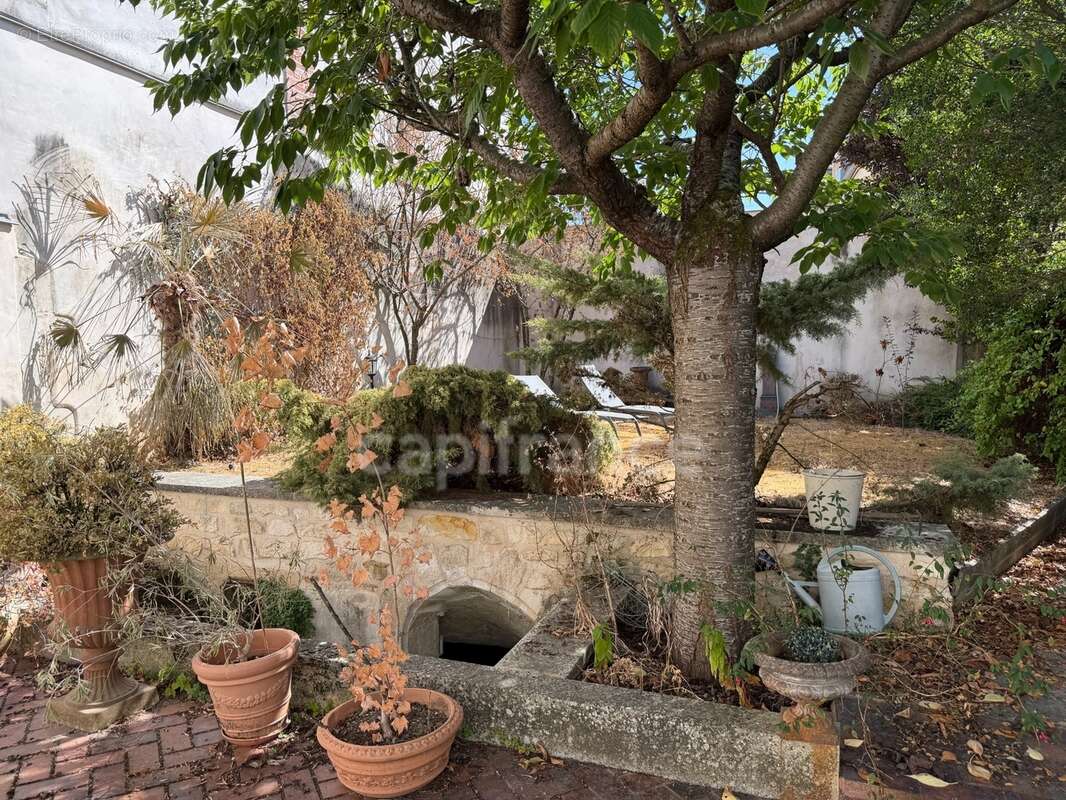 Maison à vendre 7 pièces AUXERRE (89)   Propriété de caractère de 165 m2   4 chambres   Garage   Caves    Terrain - photo 10