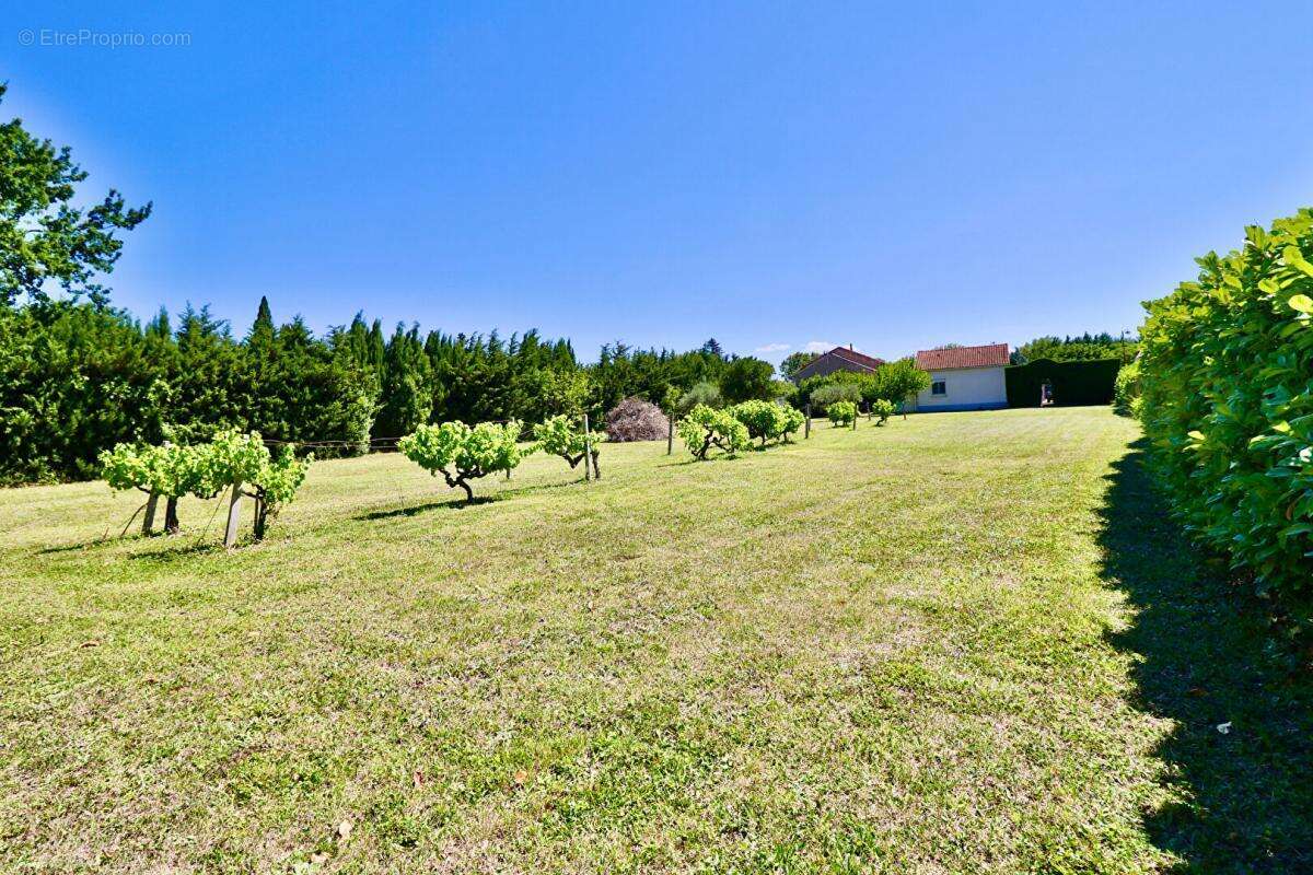Maison à JONQUIERES