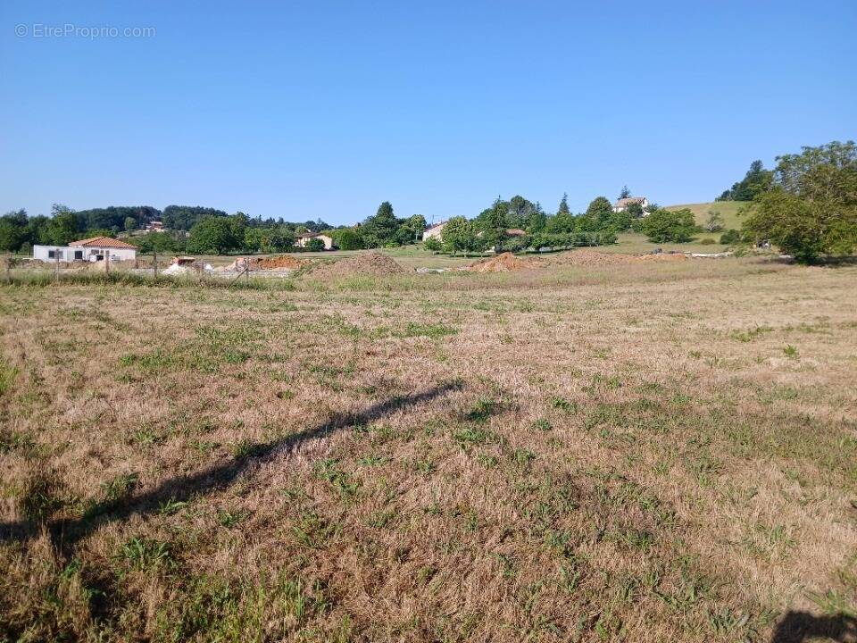 Terrain à SAINT-GERMAIN-DU-SALEMBRE