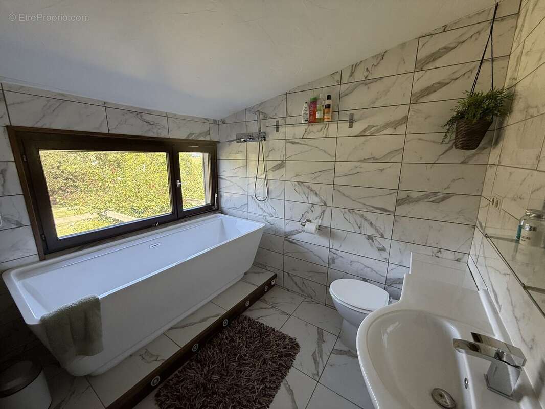 Maison à TRIE-SUR-BAISE