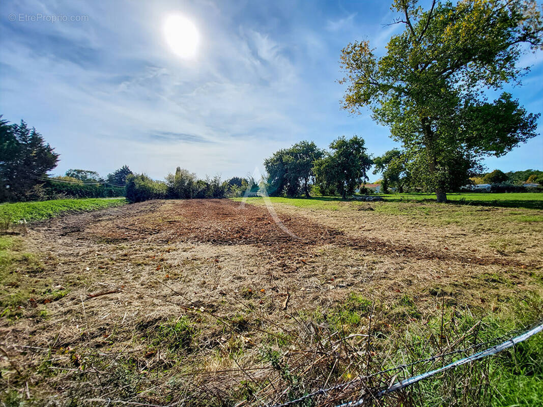 Terrain à NOTRE-DAME-DE-MONTS