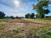 Terrain à NOTRE-DAME-DE-MONTS