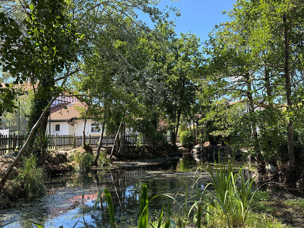 Etang de soustons t3 + mezzanine - photo 5