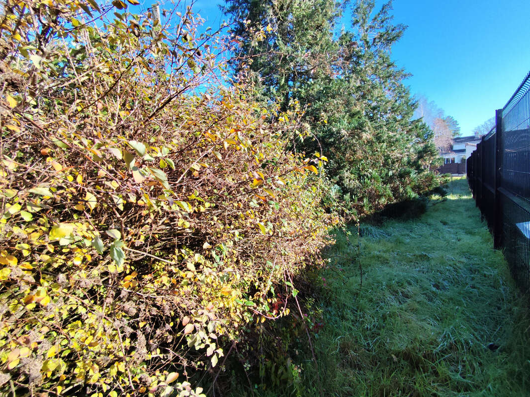 Terrain à SAINT-BENOIT