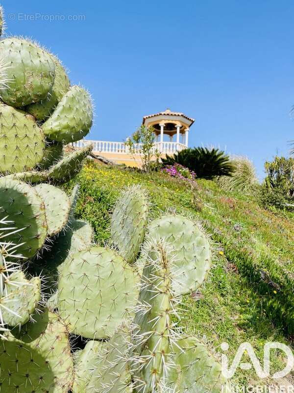 Photo 9 - Maison à SAINT-RAPHAEL