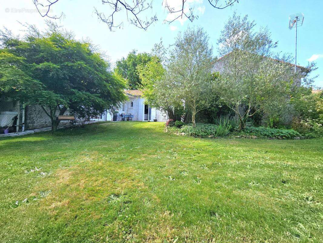 Maison à CHAMPTOCEAUX