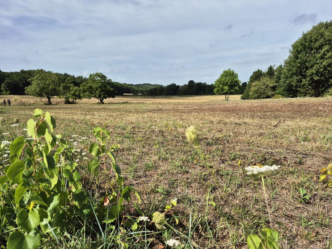 Terrain à MAREUIL-SUR-CHER