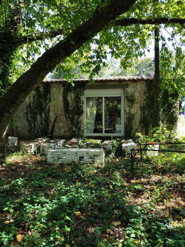 Maison à SAINT-JUST-LUZAC
