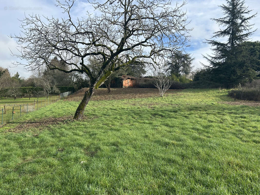 Terrain à SAINT-CLAUD